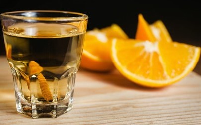 ¿Cuál es la diferencia entre Tequila y Mezcal?