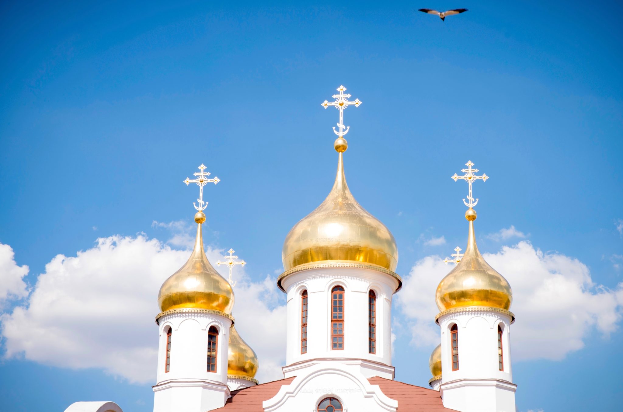 ¿Cuál es la diferencia entre ortodoxos y católicos?