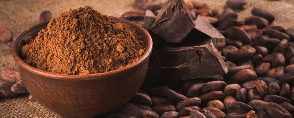 ¿Cuál es la diferencia entre Cacao y Cocoa?