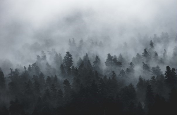 Diferencia entre Niebla y Neblina